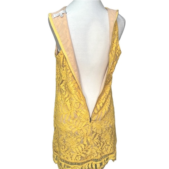 Lovers + Friends Caspian Lace Shift Dress - Picture 5 of 6
